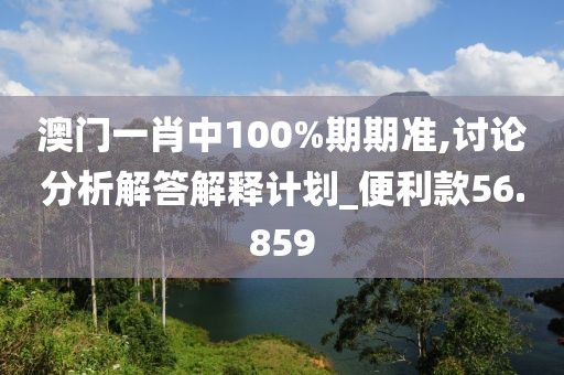澳门一肖中100%期期准,讨论分析解答解释计划_便利款56.859