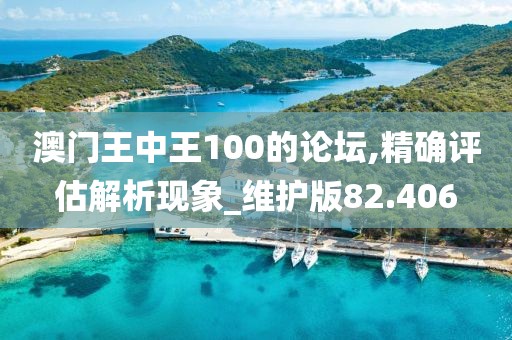 澳门王中王100的论坛,精确评估解析现象_维护版82.406
