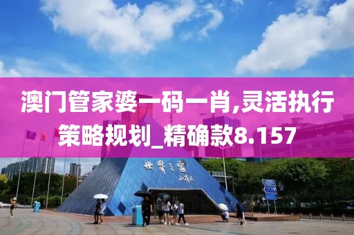 澳门管家婆一码一肖,灵活执行策略规划_精确款8.157