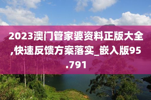 2023澳门管家婆资料正版大全,快速反馈方案落实_嵌入版95.791