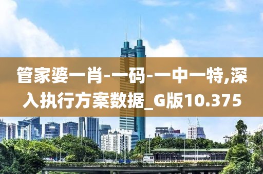 管家婆一肖-一码-一中一特,深入执行方案数据_G版10.375