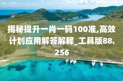揭秘提升一肖一码100准,高效计划应用解答解释_工具版88.256