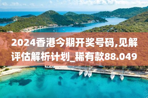 2024香港今期开奖号码,见解评估解析计划_稀有款88.049