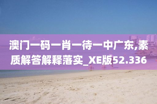 澳门一码一肖一待一中广东,素质解答解释落实_XE版52.336
