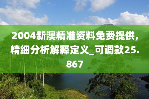 2004新澳精准资料免费提供,精细分析解释定义_可调款25.867