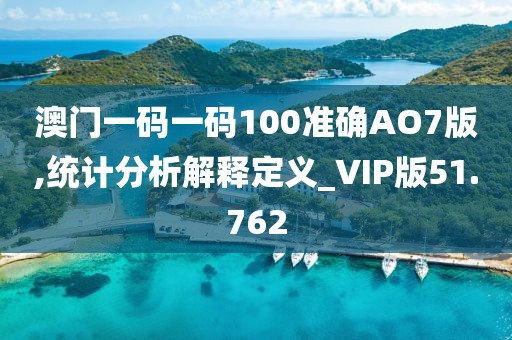 澳门一码一码100准确AO7版,统计分析解释定义_VIP版51.762