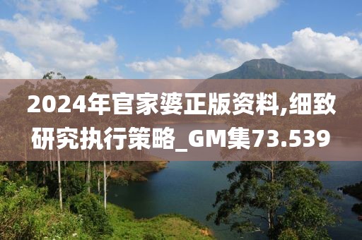 2024年官家婆正版资料,细致研究执行策略_GM集73.539