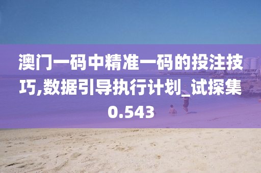 澳门一码中精准一码的投注技巧,数据引导执行计划_试探集0.543