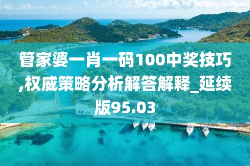管家婆一肖一码100中奖技巧,权威策略分析解答解释_延续版95.03