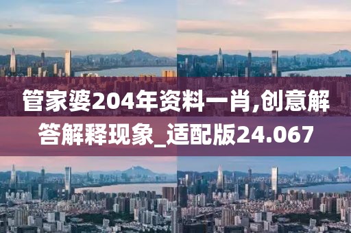 管家婆204年资料一肖,创意解答解释现象_适配版24.067