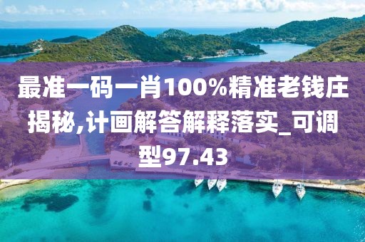 最准一码一肖100%精准老钱庄揭秘,计画解答解释落实_可调型97.43