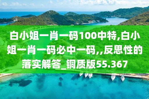 白小姐一肖一码100中特,白小姐一肖一码必中一码,,反思性的落实解答_铜质版55.367