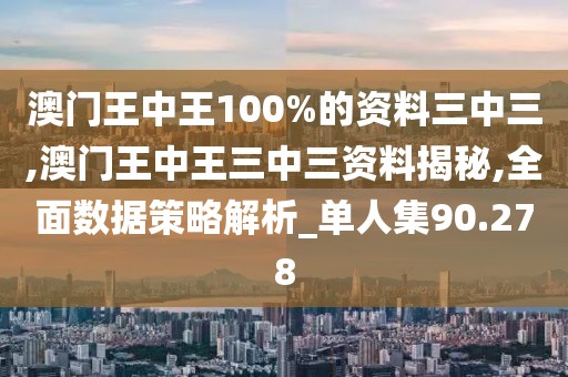 澳门王中王100%的资料三中三,澳门王中王三中三资料揭秘,全面数据策略解析_单人集90.278