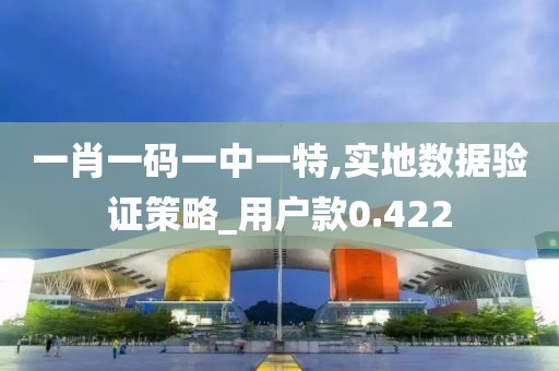 一肖一码一中一特,实地数据验证策略_用户款0.422