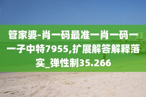 管家婆-肖一码最准一肖一码一一子中特7955,扩展解答解释落实_弹性制35.266
