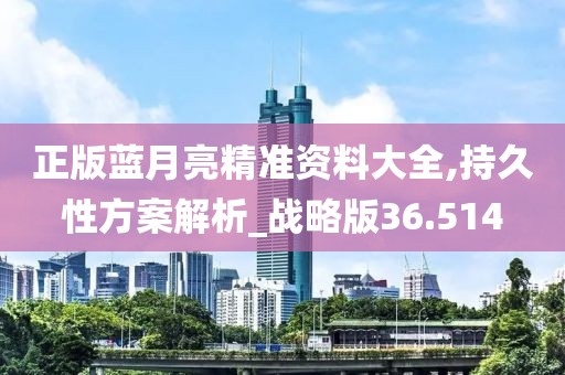 正版蓝月亮精准资料大全,持久性方案解析_战略版36.514