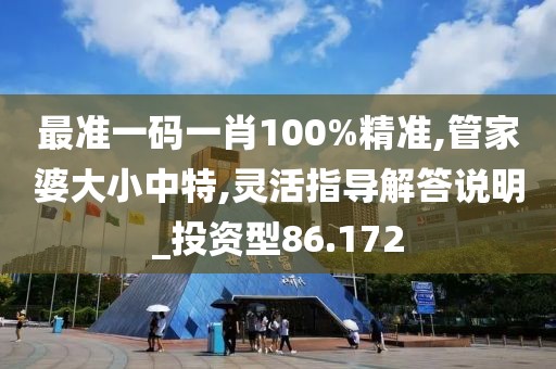 最准一码一肖100%精准,管家婆大小中特,灵活指导解答说明_投资型86.172