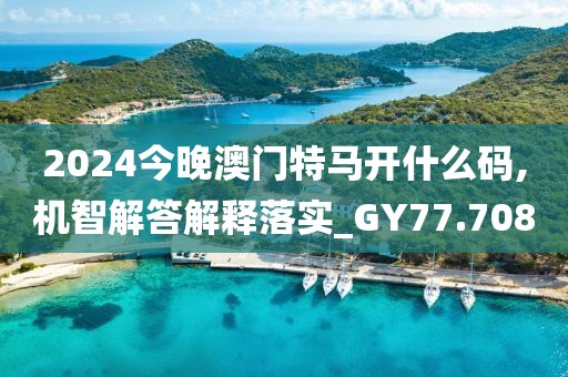 2024今晚澳门特马开什么码,机智解答解释落实_GY77.708
