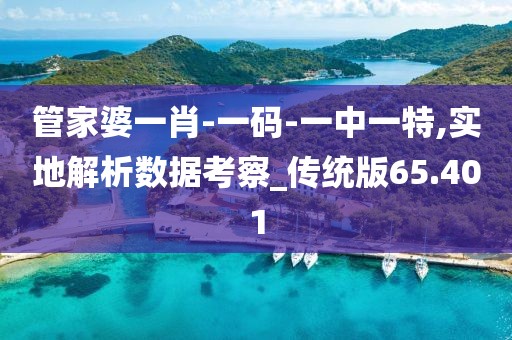 管家婆一肖-一码-一中一特,实地解析数据考察_传统版65.401