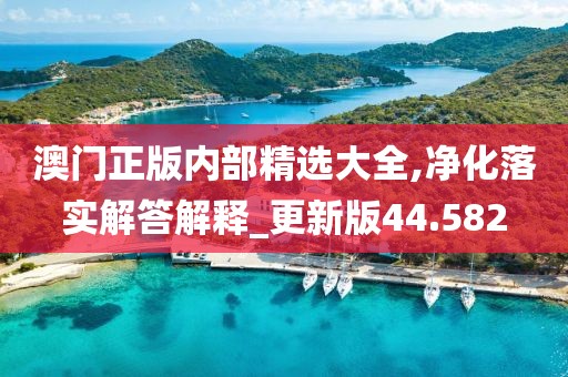 澳门正版内部精选大全,净化落实解答解释_更新版44.582