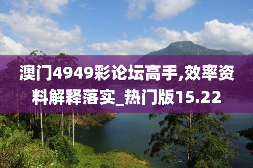 澳门4949彩论坛高手,效率资料解释落实_热门版15.22