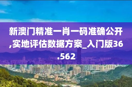 新澳门精准一肖一码准确公开,实地评估数据方案_入门版36.562