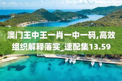 澳门王中王一肖一中一码,高效组织解释落实_速配集13.59