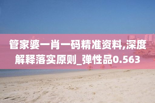 管家婆一肖一码精准资料,深度解释落实原则_弹性品0.563