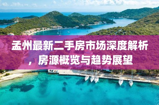 橘虞初梦 第79页