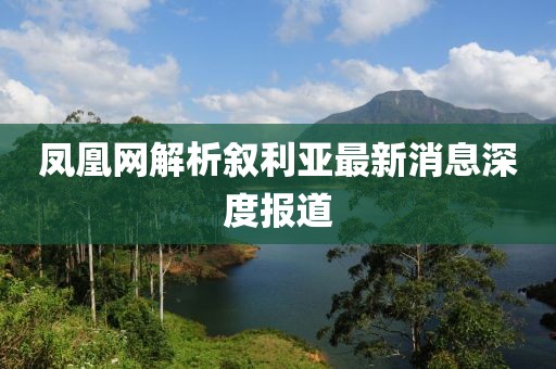 凤凰网解析叙利亚最新消息深度报道