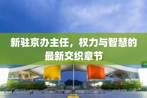 新驻京办主任，权力与智慧的最新交织章节