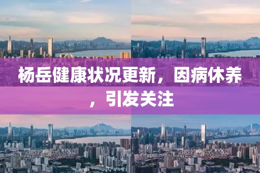 杨岳健康状况更新，因病休养，引发关注