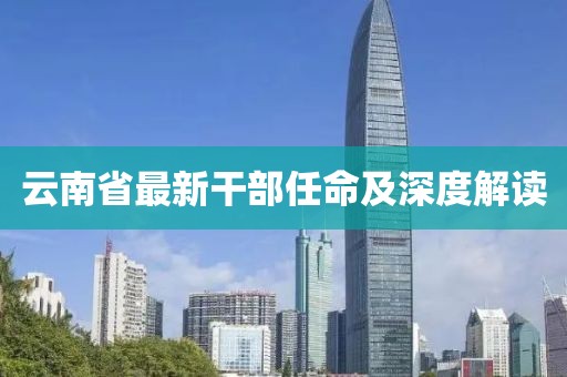 云南省最新干部任命及深度解读