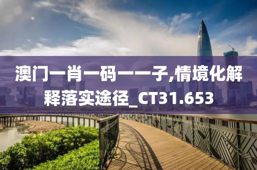澳门一肖一码一一子,情境化解释落实途径_CT31.653