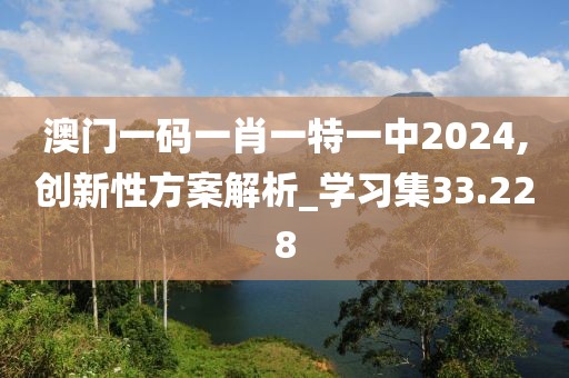 澳门一码一肖一特一中2024,创新性方案解析_学习集33.228