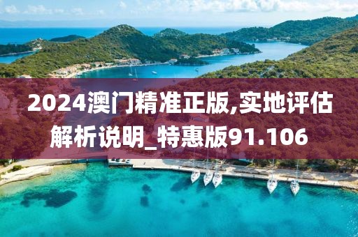2024澳门精准正版,实地评估解析说明_特惠版91.106