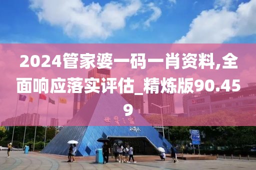 2024管家婆一码一肖资料,全面响应落实评估_精炼版90.459