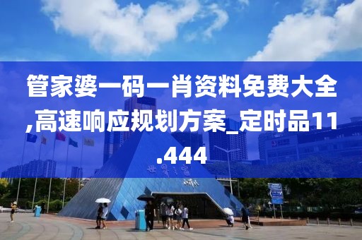 管家婆一码一肖资料免费大全,高速响应规划方案_定时品11.444