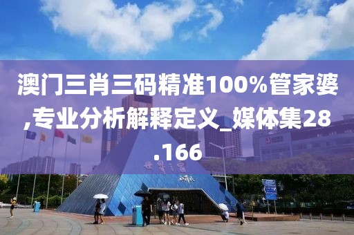 澳门三肖三码精准100%管家婆,专业分析解释定义_媒体集28.166