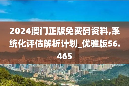 2024澳门正版免费码资料,系统化评估解析计划_优雅版56.465