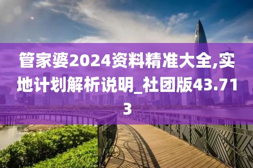 管家婆2024资料精准大全,实地计划解析说明_社团版43.713