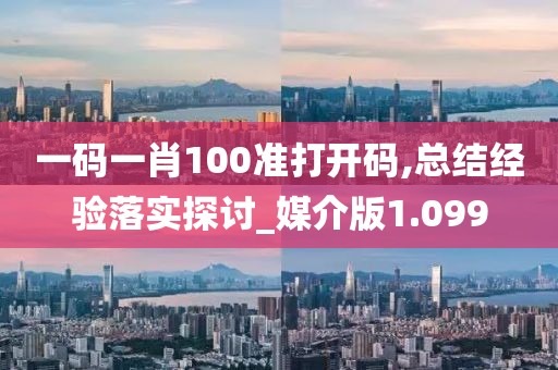 一码一肖100准打开码,总结经验落实探讨_媒介版1.099