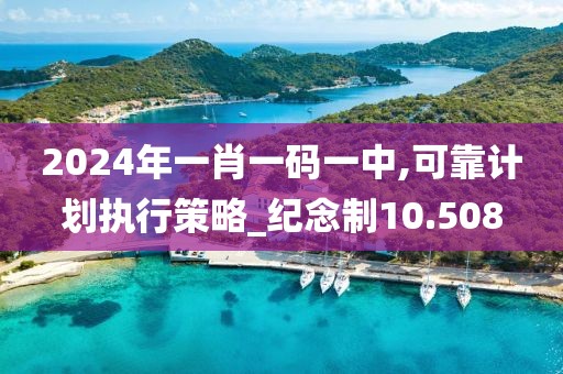 2024年一肖一码一中,可靠计划执行策略_纪念制10.508