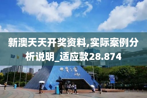 新澳天天开奖资料,实际案例分析说明_适应款28.874