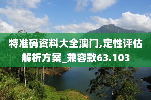 特准码资料大全澳门,定性评估解析方案_兼容款63.103