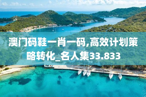 澳门码鞋一肖一码,高效计划策略转化_名人集33.833