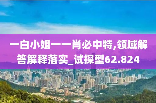 一白小姐一一肖必中特,领域解答解释落实_试探型62.824