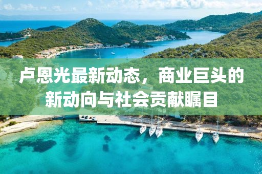 卢恩光最新动态，商业巨头的新动向与社会贡献瞩目