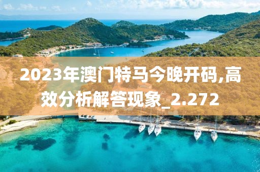 2023年澳门特马今晚开码,高效分析解答现象_2.272