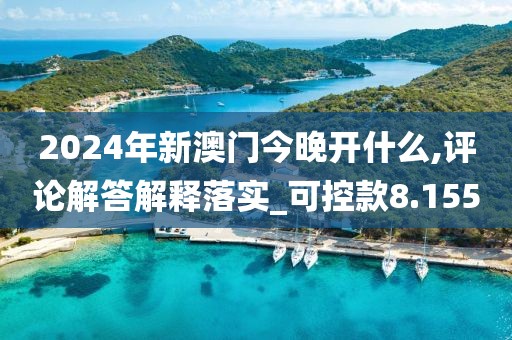 2024年新澳门今晚开什么,评论解答解释落实_可控款8.155